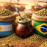 Argentina Supera a Brasil y Cambia las Reglas del Juego