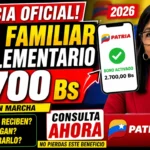 Bono Familiar Complementario 2026 - Guía Completa sobre Beneficiarios, Montos y Cómo Cobrar