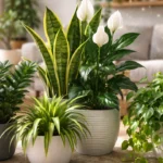 Estas 5 Plantas de Interior están Limpiando tu Aire en Secreto, ¡sin Necesidad de luz Solar!